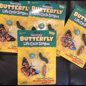 4 pack | Painted Lady Butterfly Life Cycle Stages